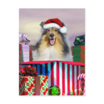 Collie Christmas Surpise Postcard