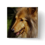 Collie Dog Photograph buttons