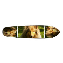 Collie Dog Skateboard