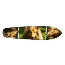 Collie Dog Skateboard