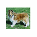 Collie Keychain -photosculptured