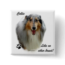 Collie Like No Other Breed