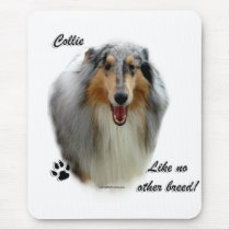 Collie Like No Other Breed