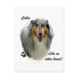 Collie Like No Other Breed postcards