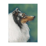 "Collie" Original Dog Art Postcard