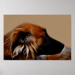 Collie posters