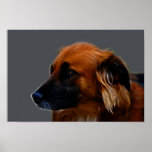 Collie posters