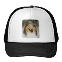 Collie Roiugh AA011D-031 Mesh Hat