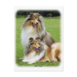 Collie Rough 9R060D-135 postcards