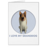 Collie (Rough Coat) Granddog cards