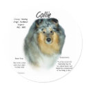 Collie (rough merle) History Design stickers