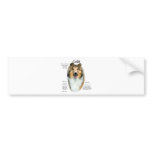 Collie (sable rough) History Design bumper stickers