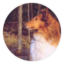 Collie Stickers