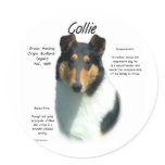 Collie (tri smooth) History Design stickers