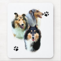 Collie Trio