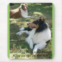 COLLIES - One is never Enough...Rough. mousepads