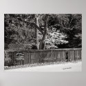 Collville Street, McMinnville Tennessee posters