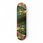 Cologne Cathedral with sun skateboards