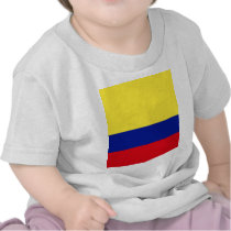 Colombia High quality Flag T-shirt