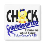 Colon Cancer Chick Interrupted 2 magnets