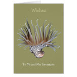 Colonial Anemone Greeting Cards