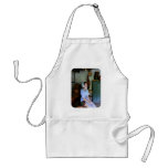 Colonial Maid aprons