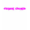 COLOR GUARD t-shirts