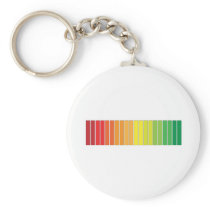 'COLOR PROGRESS' KEY CHAIN