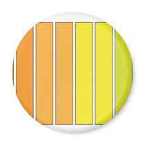 'COLOR PROGRESS' MAGNET