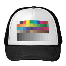COLOR SWATCH AND GRAY SCALE hats