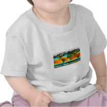 COLOR WORLD MAP TSHIRT