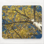 Colorado Aspen mousepads