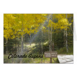 Colorado Aspens Card