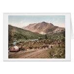 Colorado Cattle Roundup 1897 Greeting Card