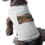 Colorado Cattle Roundup 1897 Doggie Shirt