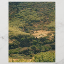 colorado mountains custom flyer