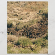 colorado Mountains Personalized Flyer