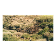 colorado Mountains Photo Greeting Card