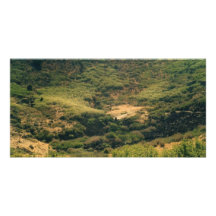 colorado mountains photo greeting card