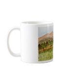 Colorado mugs