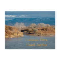 Colorado River,Grand Junction Postcard
