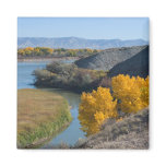 Colorado River in Autumn magnets