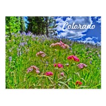 Colorado spring postcard