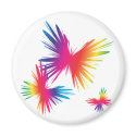 ColorFly-1 magnets