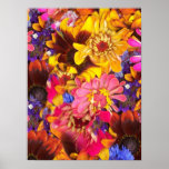 Colorful Flowers Posters