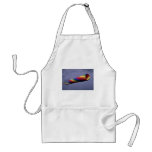 Colorful Huge and colorful windsock Apron