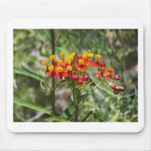 Colorful Milkweed Mouse Pad