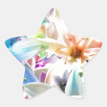 Colorful Pastel Orchids Star Stickers