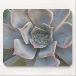 Colorful Succulents Mousepad #1