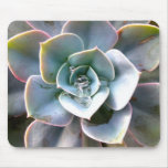 Colorful Succulents Mousepad #3